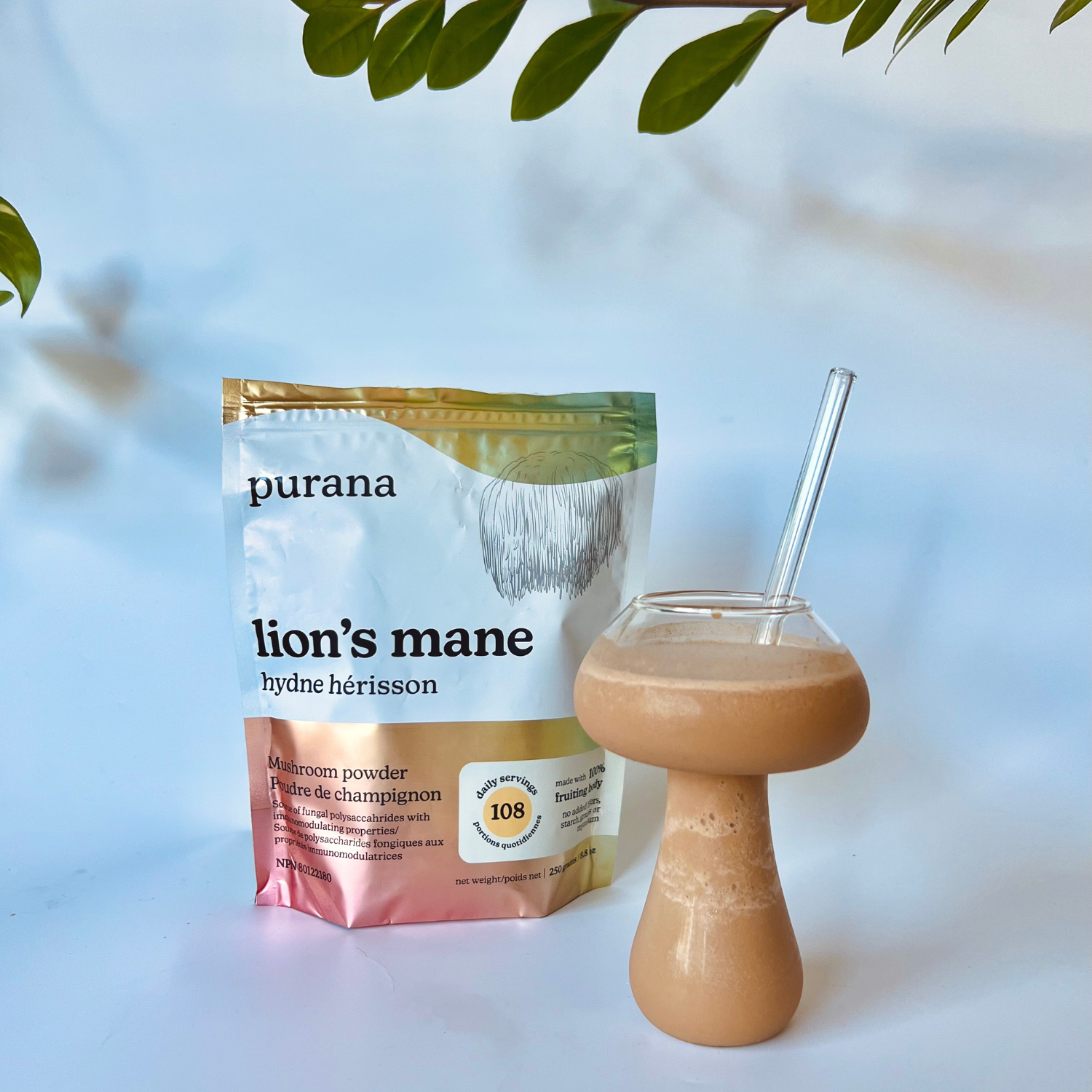 Lion's Mane Mocha Smoothie