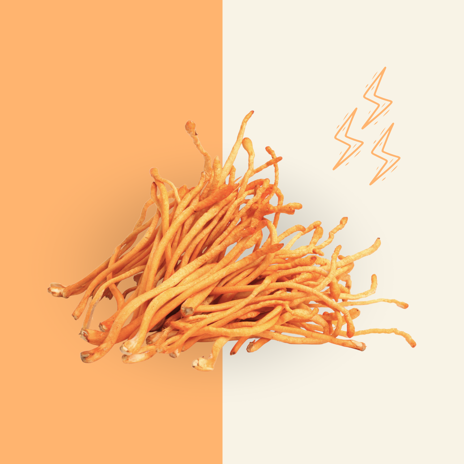 Cordyceps: Unlocking Energy, Endurance, and Vitality