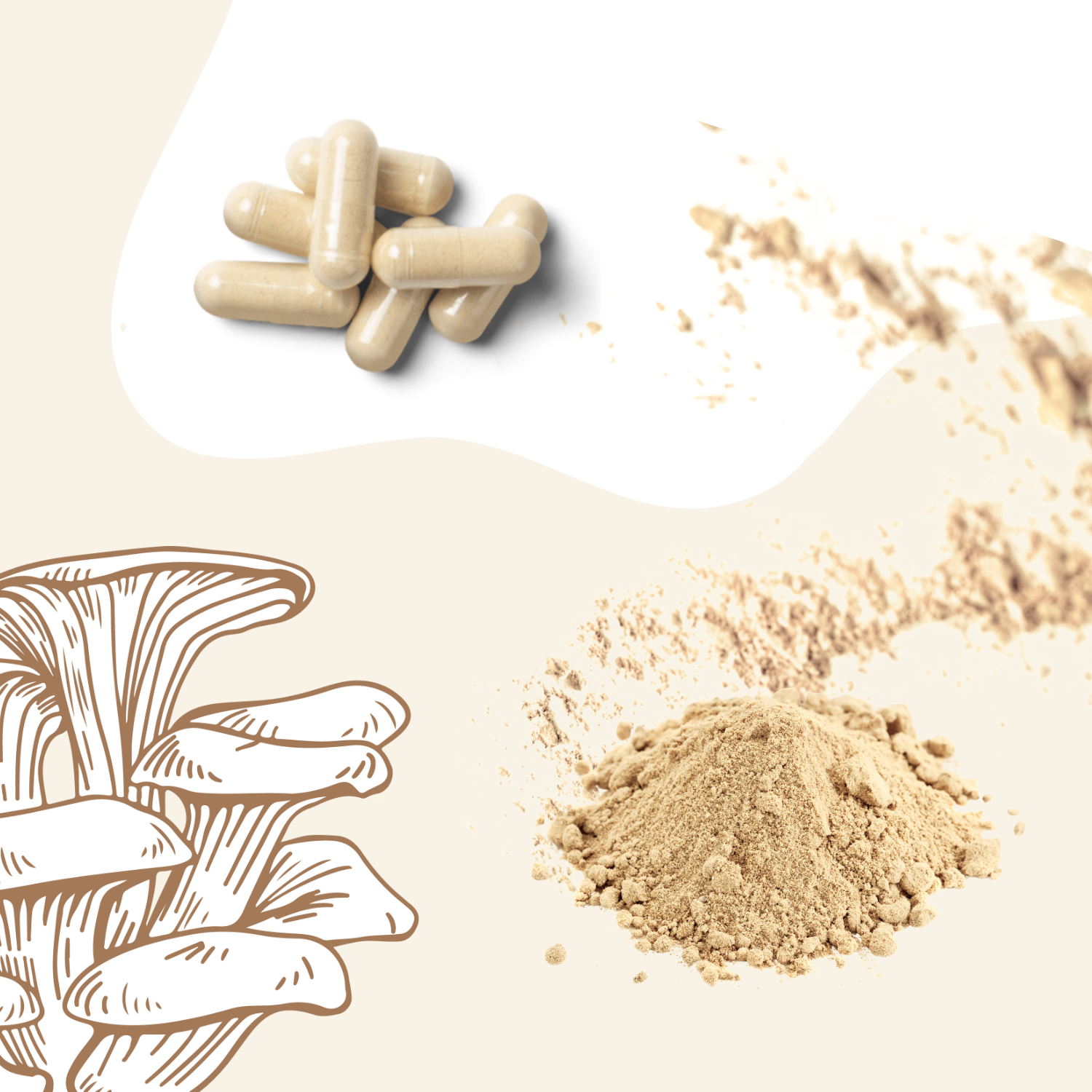 Mushrooms: How and Why Are They Extracted?