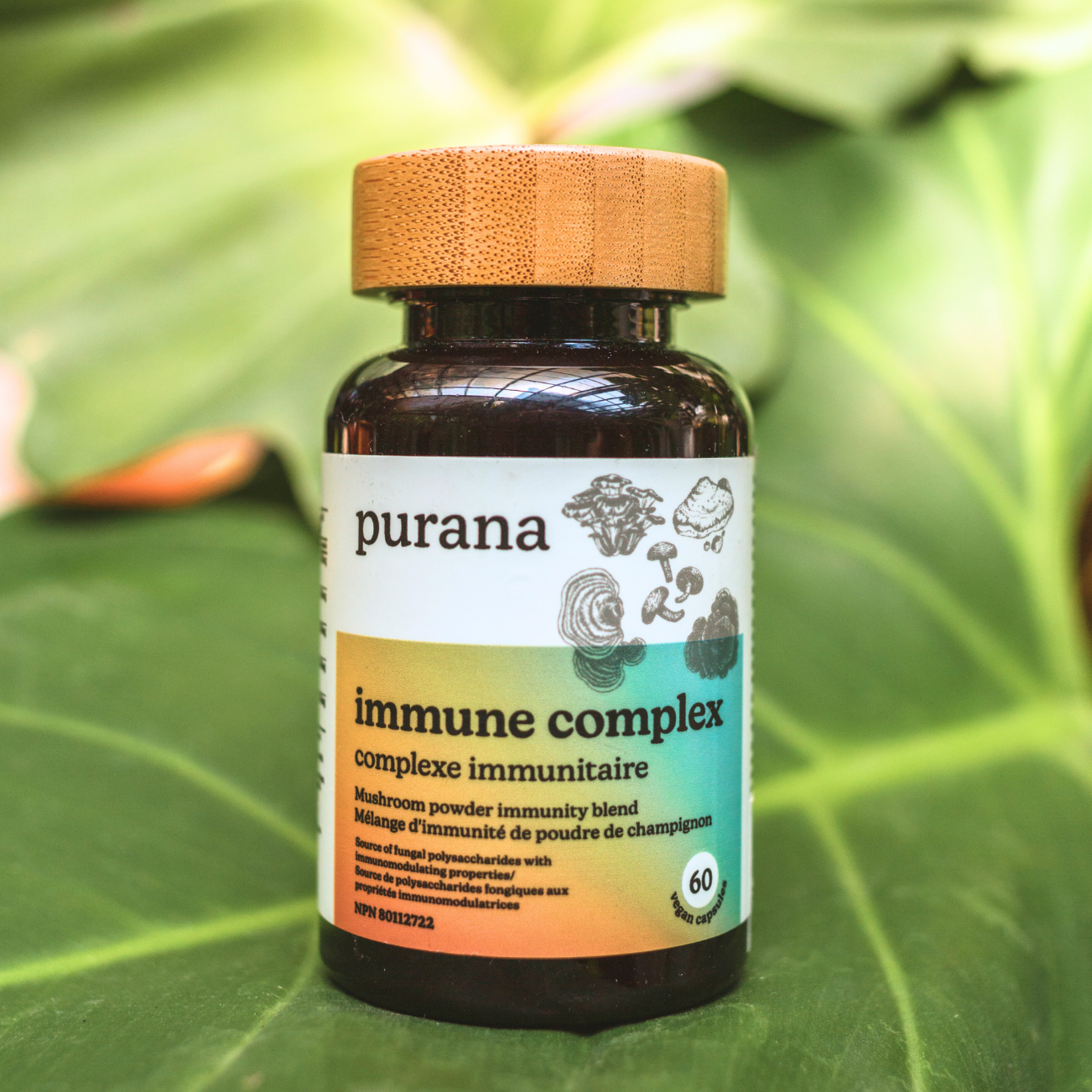 Boosting Your Immunity This Fall with Purana's Immune Complex