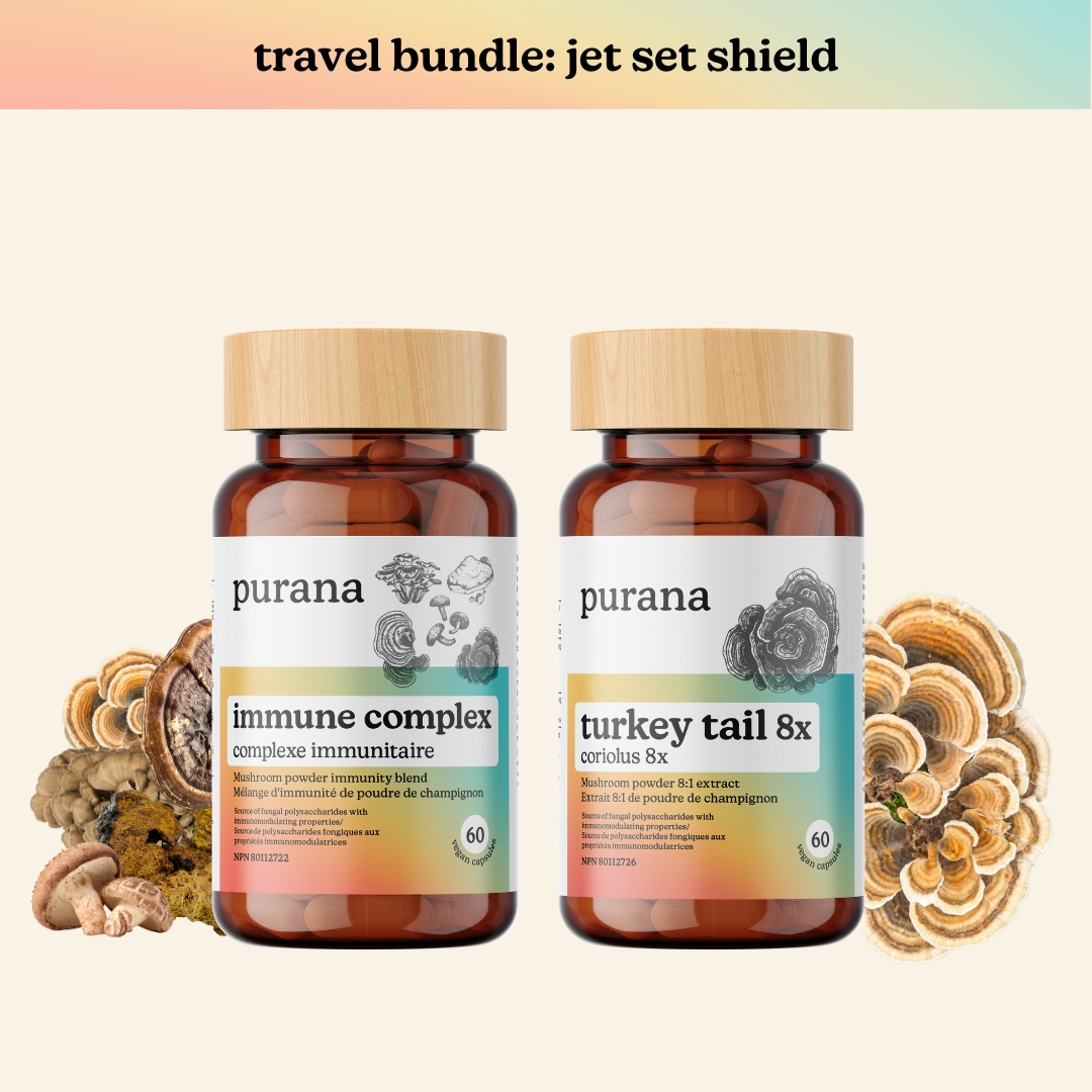 Travel Bundle: Jet Set Shield