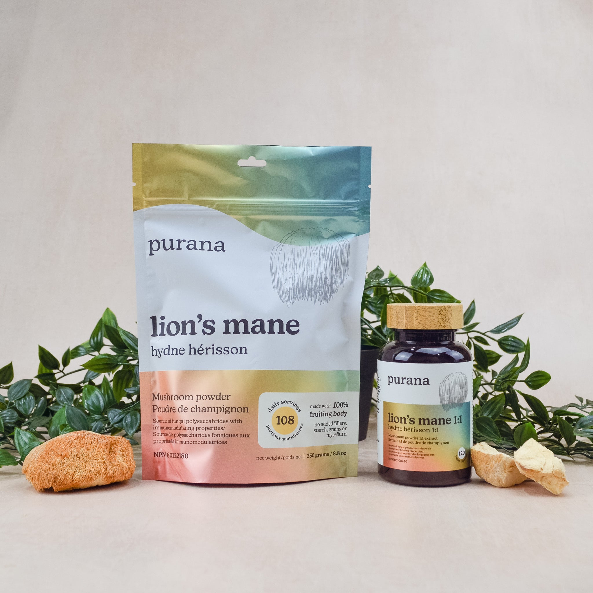 Lion's Mane 1:1 Powder