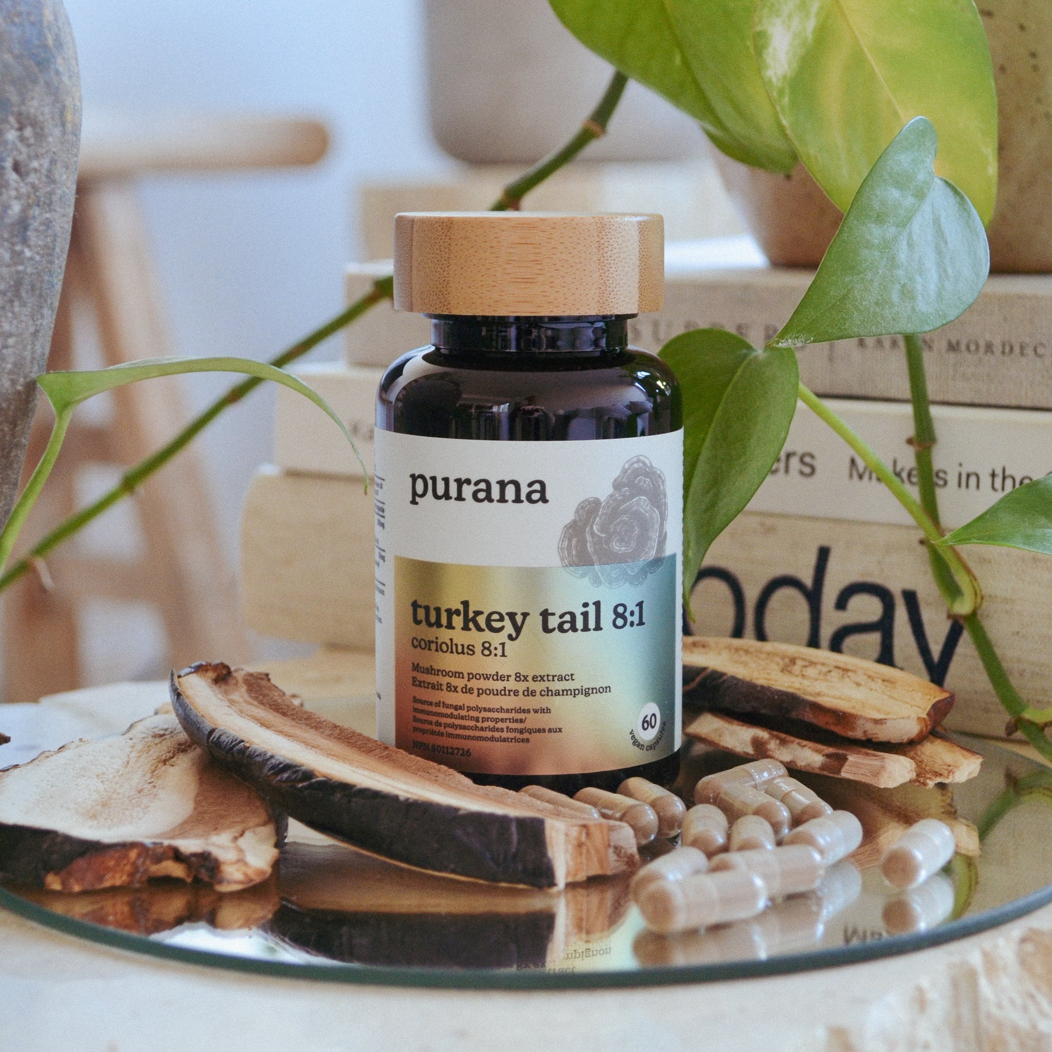 Turkey Tail 8:1 Capsules