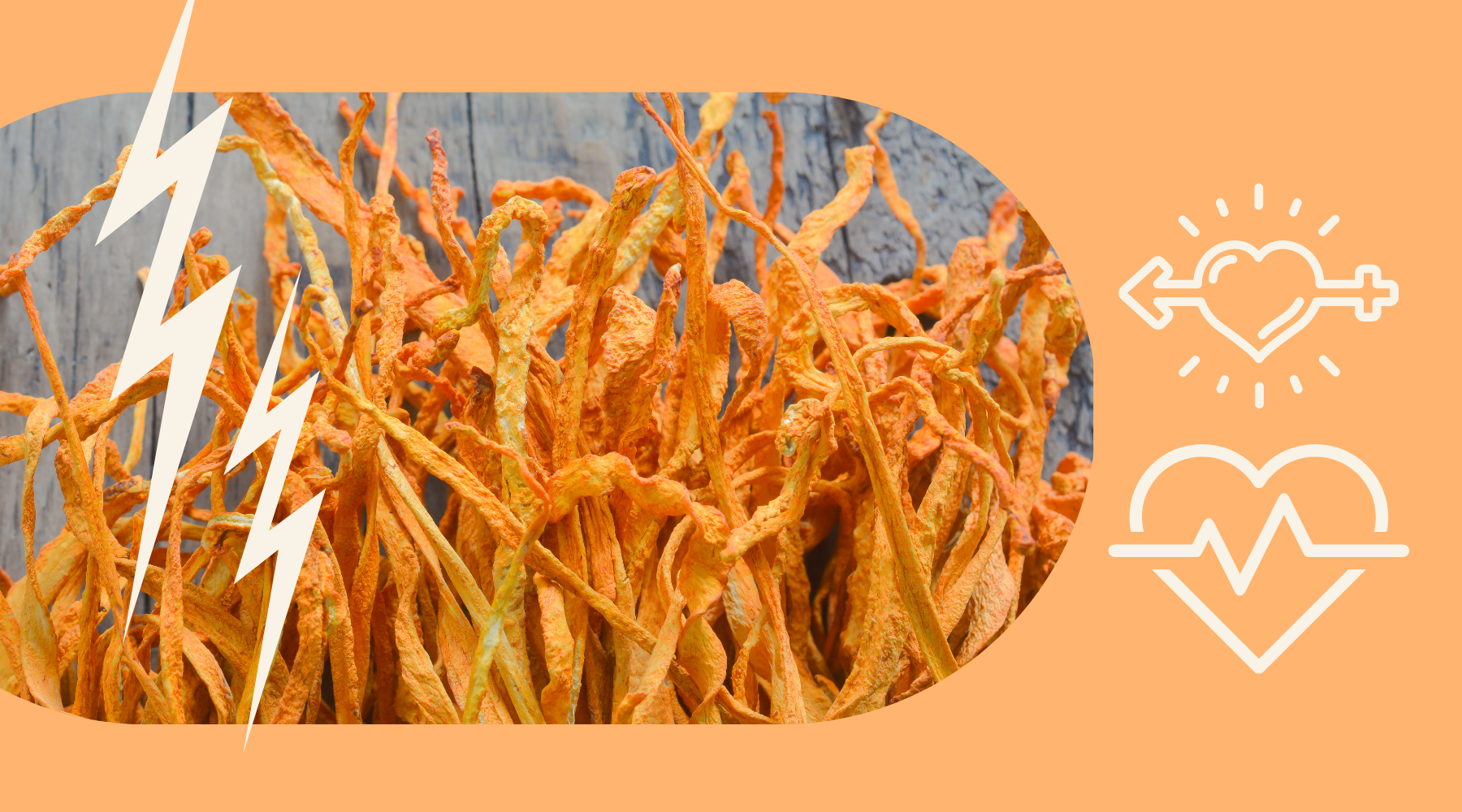 Cordyceps: Unlocking Energy, Endurance, and Vitality