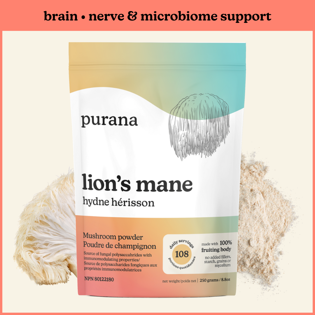 Lion's Mane 1:1 Powder