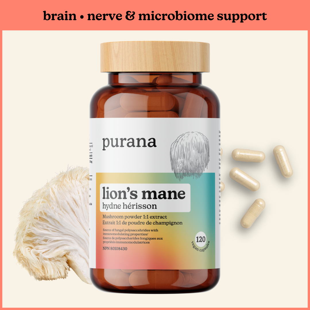 Microbiome Health Bundle - Immune Complex, Lion's Mane 1:1 Capsules, and Turkey Tail 8:1 Capsules