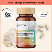 Lion's Mane and Reishi Bundle - Lion's Mane 8:1 and Reishi 16:1 Capsules