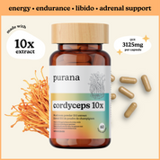 Hormone Health Bundle - Cordyceps 10:1, Lion's Mane 8:1, and Reishi 16:1 Bundle