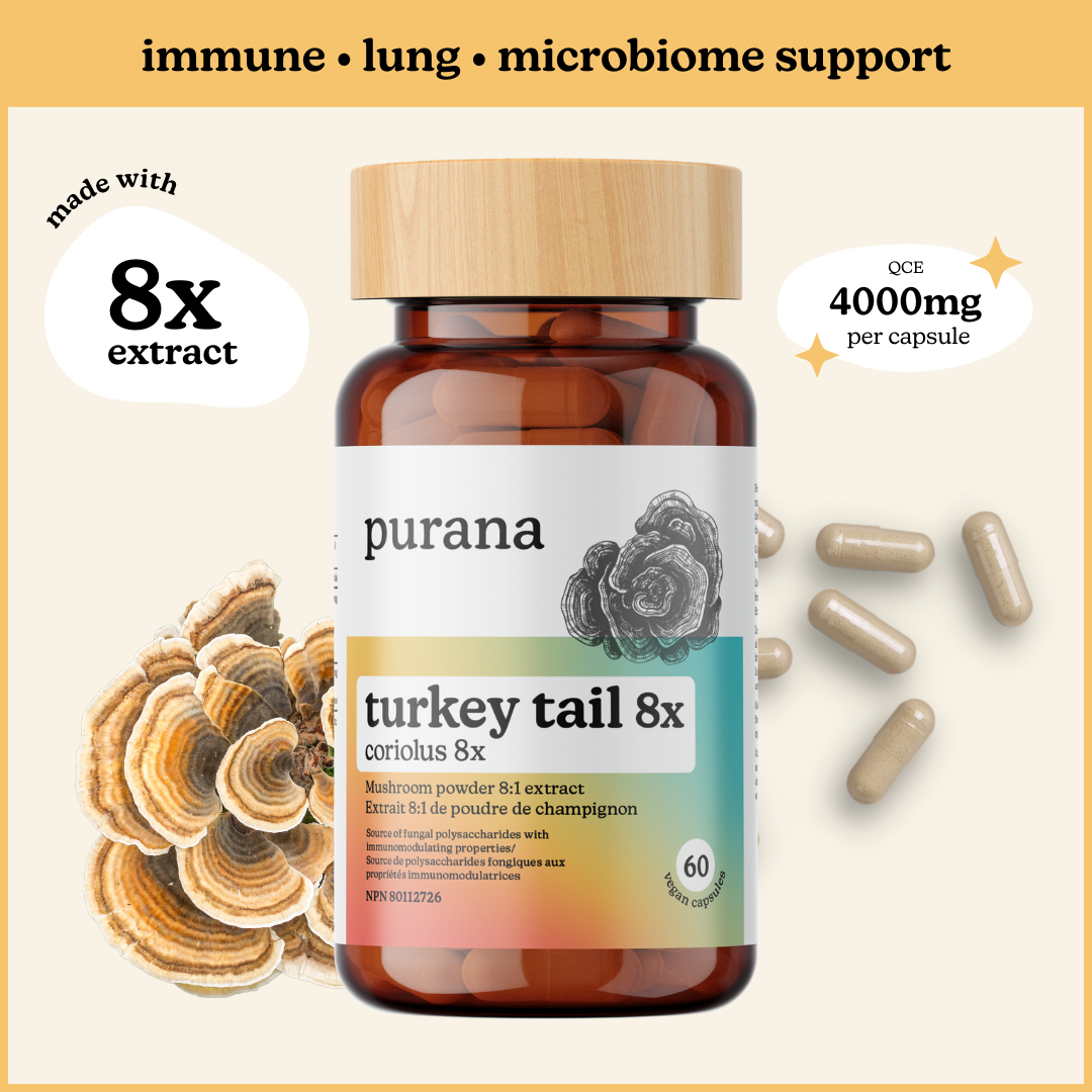 Microbiome Health Bundle - Immune Complex, Lion's Mane 1:1 Capsules, and Turkey Tail 8:1 Capsules