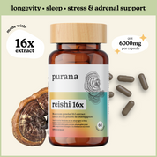 Hormone Health Bundle - Cordyceps 10:1, Lion's Mane 8:1, and Reishi 16:1 Bundle