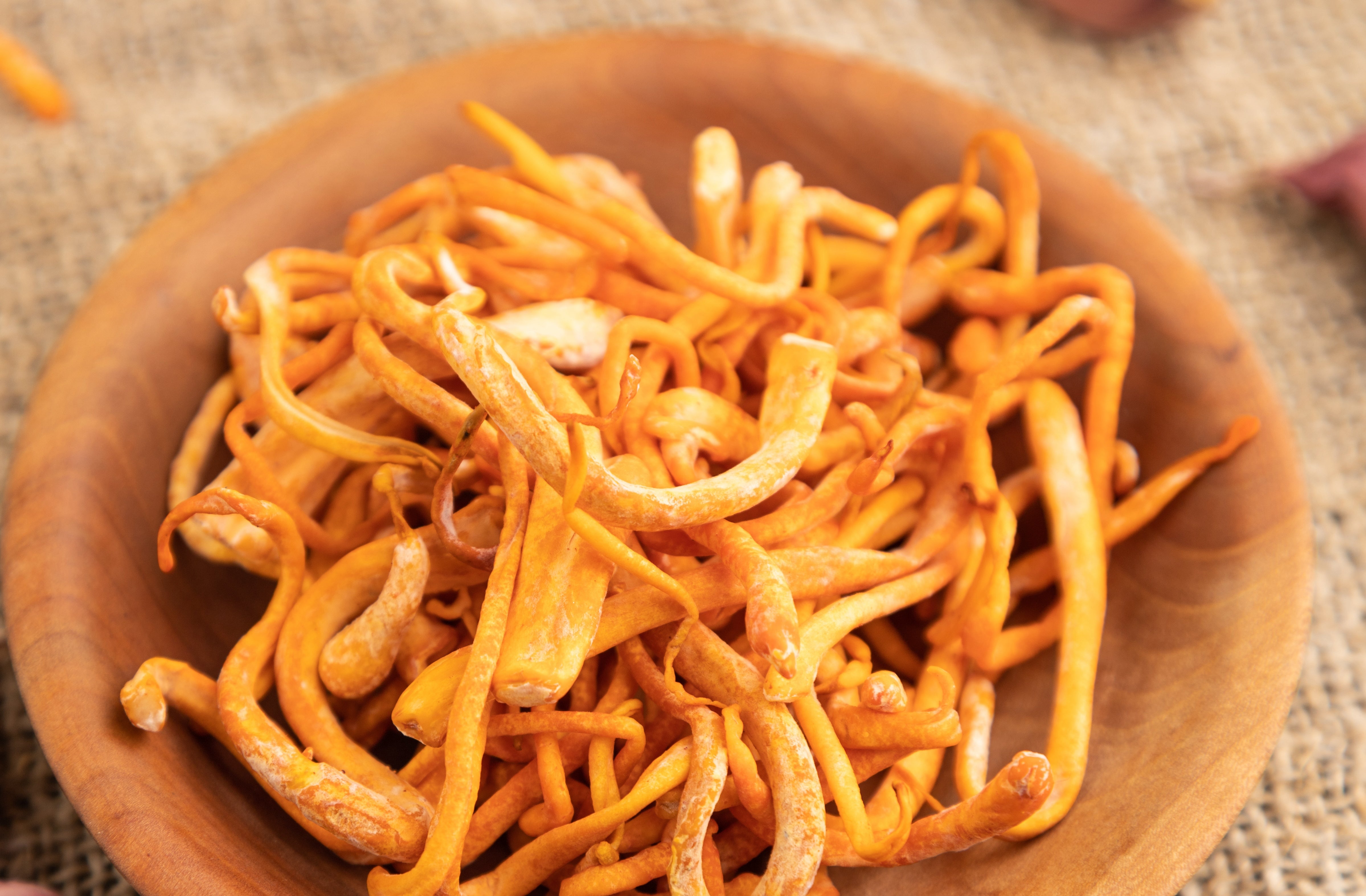 fresh_cordyceps_purana.jpg